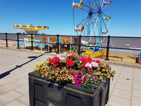 North Prom Planters Big Local North Cleethorpes