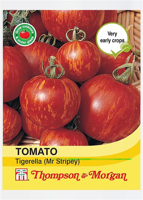 Tomato Tigerella Mr Stripey Seeds Dobbies Garden Centres