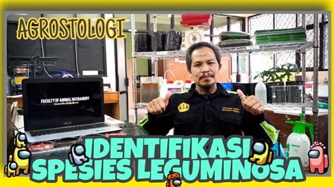 Check spelling or type a new query. IDENTIFIKASI SPESIES LEGUMINOSA | Jenis Tanaman Legum ...
