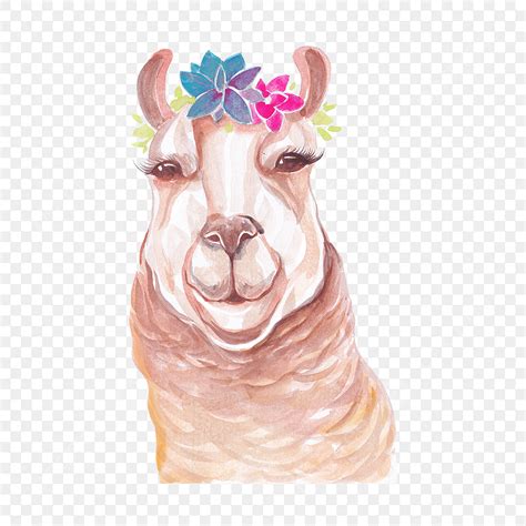 Llama Watercolor Vector Hd Png Images Cute Smile Llama Watercolor