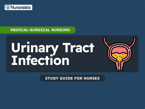 Urinary Tract Infection Nursing Care And Management Study Guide