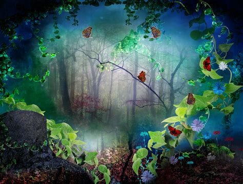 Butterfly In Beautiful Forest Wallpapers Wallpaper Cave