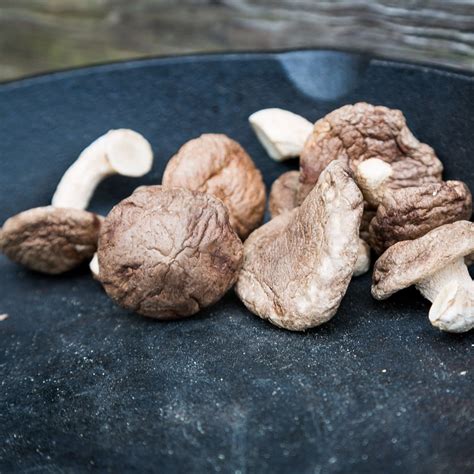 Dried Whole Shiitake Mushrooms Uk Delivery Smithy Mushrooms