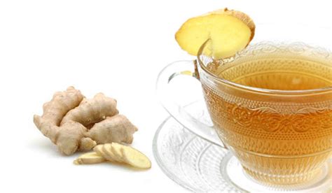 Green Tea With Ginger And Honey An Abundance Of Antioxidants