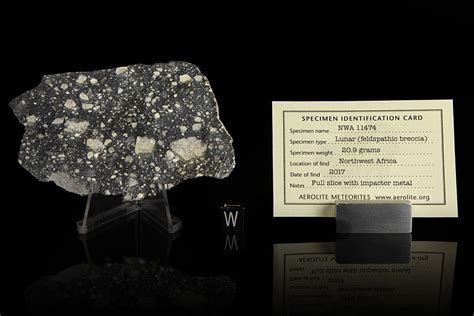 Nwa 11474 Lunar Meteorite Slice