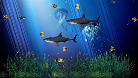 Download Free Live Animated Wallpapers For Pc Moving Fish Wallpaper