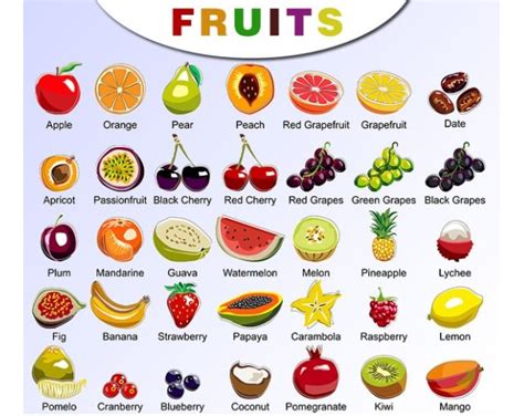 Nombres De Frutas En Ingles Definiciones Y Conceptos