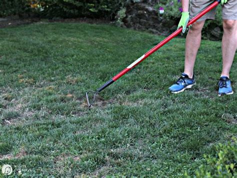 The easiest and fastest way to do this is to use a weed killer such as ortho® groundclear® super weed & grass killer, making sure to follow all package instructions carefully. When to Reseed Lawn and Tips for Reseeding | Today's ...