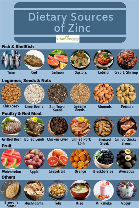Dietary Sources Of Zinc Zinc Rich Foods Vitamin Rich Foods Zinc Foods