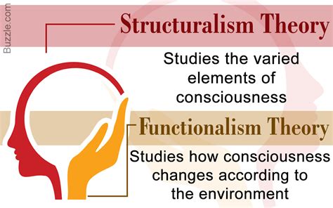 🎉 Criticism Of Functionalism In Psychology Early