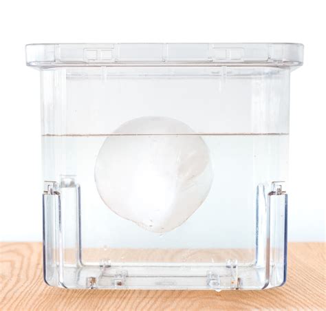 Ice Balloons Chemistry And States Of Matter Science Activity