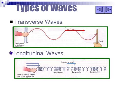Drawing Transverse Waves Worksheet Vziotvstandbasez