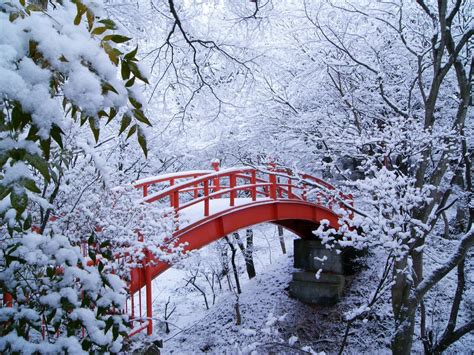 Photos Winter Nature Seasons
