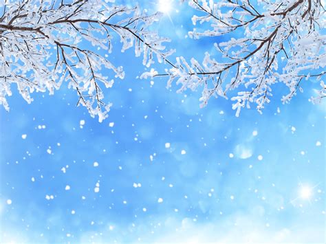 Nature Snow Wallpapers Top Free Nature Snow Backgrounds Wallpaperaccess