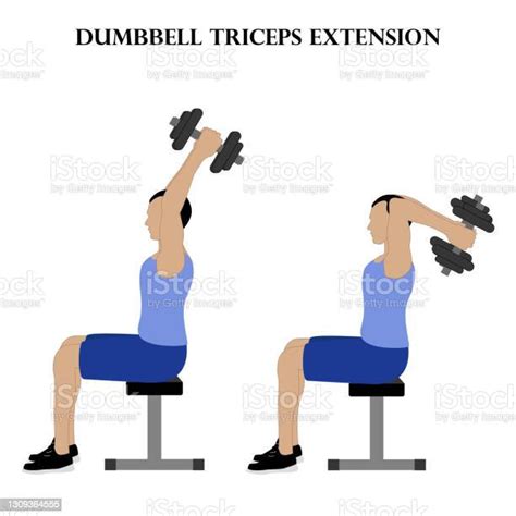Dumbbell Triceps Uitbreiding Oefening Kracht Workout Vector Illustratie Stockvectorkunst En Meer