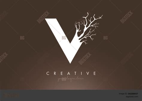 Letter V Design Logo Vector And Photo Free Trial Bigstock