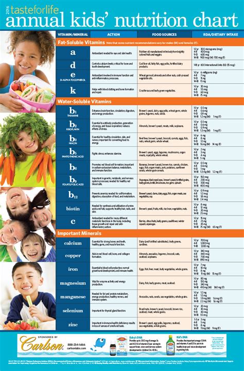 Daily Nutrition Chart For Children Nutrition Pics