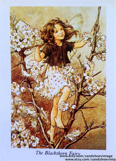 1930s Blackthorn Fairy Cicely Mary Barker Print Ideal For Framing