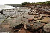 Dinosaur Fossil Beach Uk Pictures