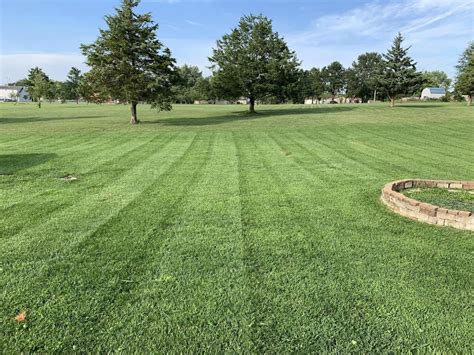 Lawn Care In Waynesville Mo The Wizard Of Lawns In Waynesville Mo