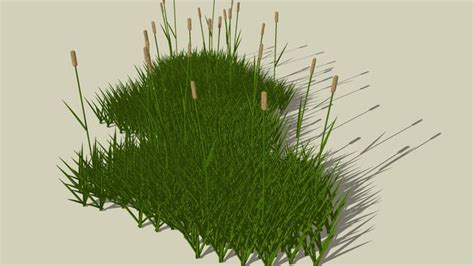 Sketchup Components 3d Warehouse Grass Clump Of Grass