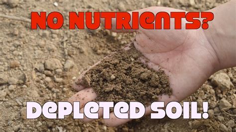 Our Soils Are Depleted Of Nutrients Myth Or Fact Youtube