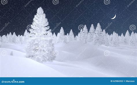 Snowy Spruce Forest At Snowfall Night Stock Photo Image Of Frozen