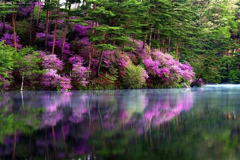 Kyoto Japan Hermosa Naturaleza Imágenes Bellas Hermosos Paisajes