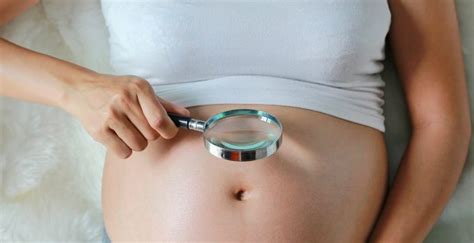 Blog Semana A Semana Test Prenatal No Invasivo De Igenomix