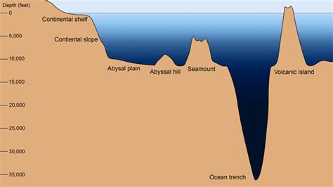 Diagrams Of The Ocean Floor Water On Earth