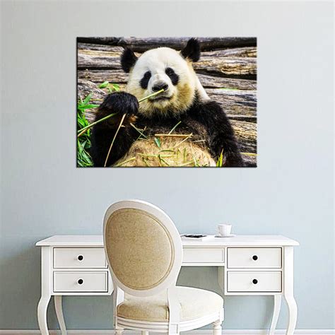 Panda Canvas Art Canvas Wall Art Panda Prints Panda Wall Art Etsy