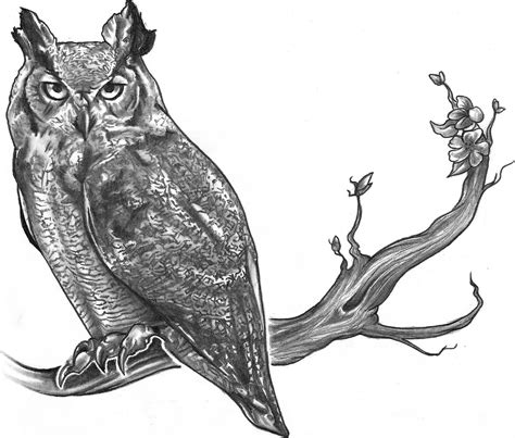 Owl Flying Drawing Free Download On Clipartmag