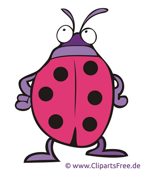 Ladybug Clipart, bilde, tegneserie, grafikk, illustrasjon