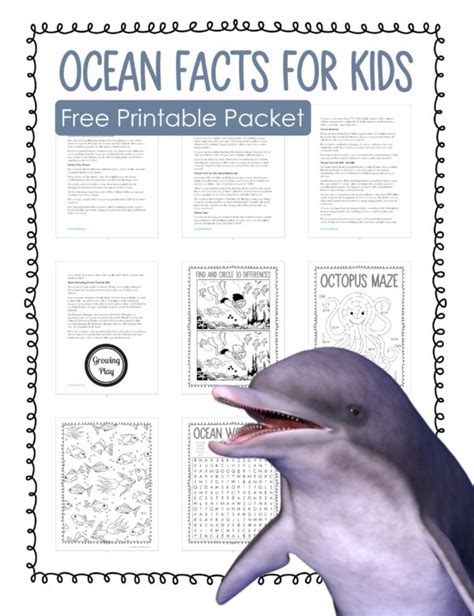 Fun Ocean Facts For Kids Growing Play