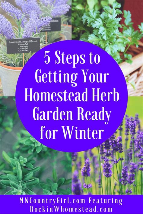 5 Steps To Getting Your Homestead Herb Garden Ready For Winter With