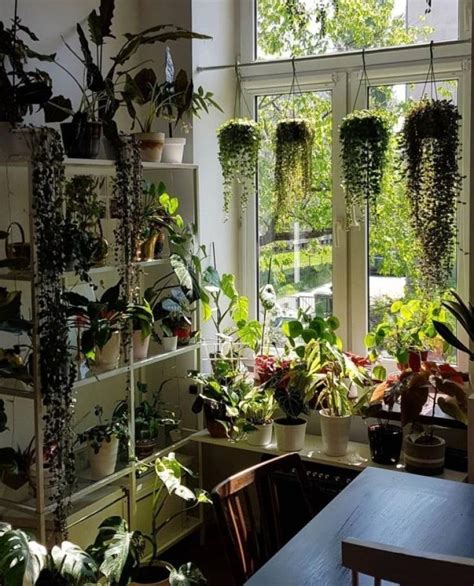 30 Nice Indoor Plants Decor Ideas For Small Apartment Plant Decor