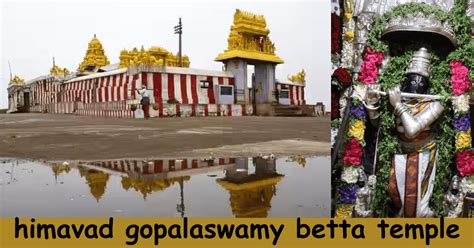Himavad Gopalaswamy Betta Temple Timings