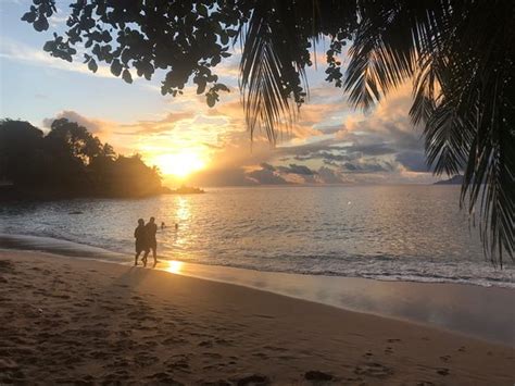 Sunset Beach Isla De Mahé 2020 Qué Saber Antes De Ir Lo Más Comentado Por La Gente