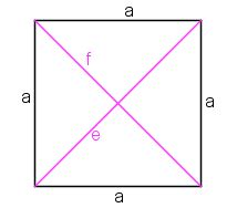 Modern quadrats can for example be rectangular, circular, or irregular. Quadrat