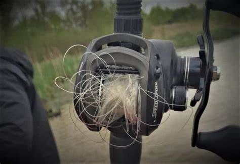 Baitcaster Birds Nest Must Know Tips To Remove It Quickly