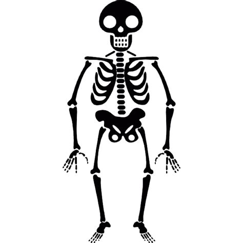 Halloween Skeleton Transparent Png Png Mart