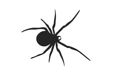 Spidersilhouette By Black Widow Fireworks Pty Ltd 1101730 Clipart