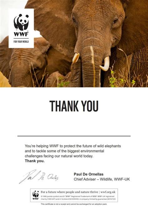Adopt An Elephant Wwf