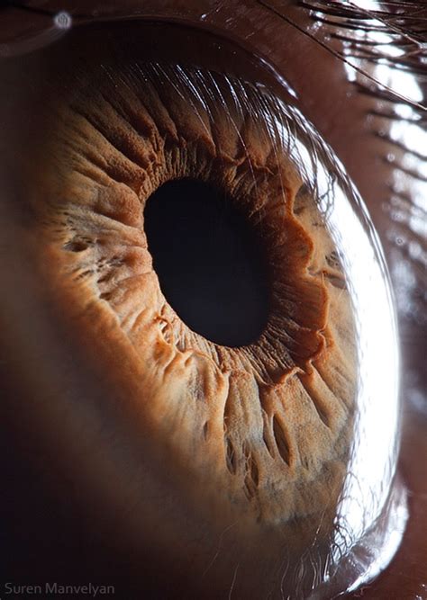 These 13 Fascinating Close Ups Of The Human Eye Will Mesmerize You