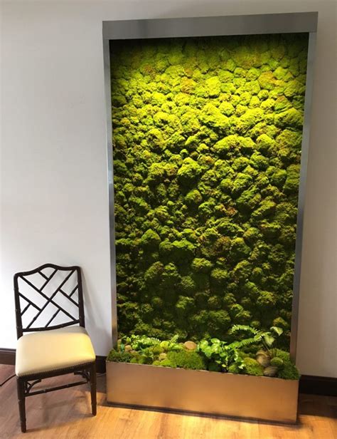 How To Make An Indoor Living Moss Wall Celeste Strauss