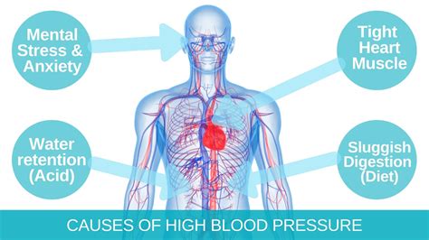 Natural Remedies For High Blood Pressure Blood Pressure Diet