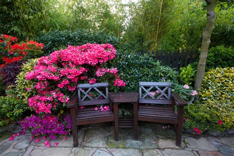 england, Gardens, Rhododendron, Bench, Shrubs, Walsall ...