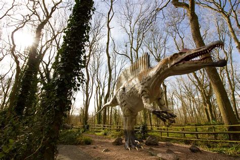 Port Lympne Reserve And Dinosaur Forest Promise Epic Easter Adventure