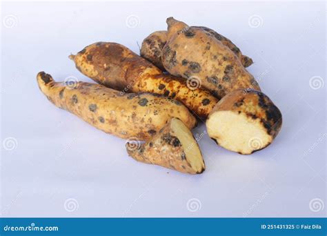 Sweet Potato Cilembu Ubi Cilembu Kultivar Stock Image Image Of