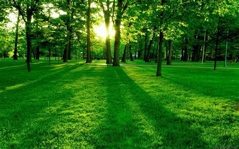nature, Landscape, Green, Grass Wallpapers HD / Desktop and Mobile ...